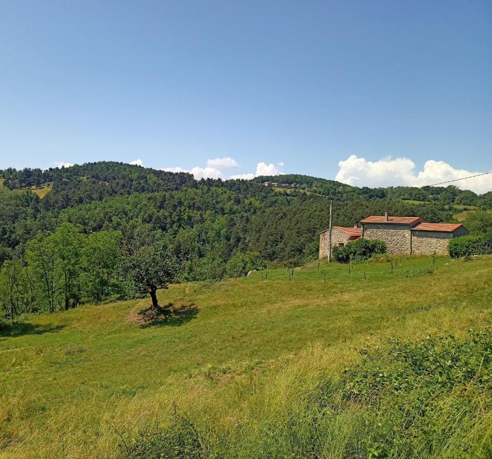 Ecrin De Verdure En Ardeche Verte Colombier-le-Vieux Esterno foto
