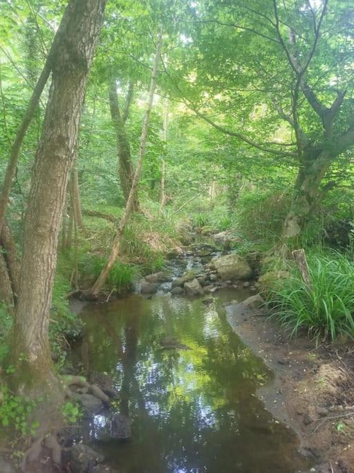 Ecrin De Verdure En Ardeche Verte Colombier-le-Vieux Esterno foto