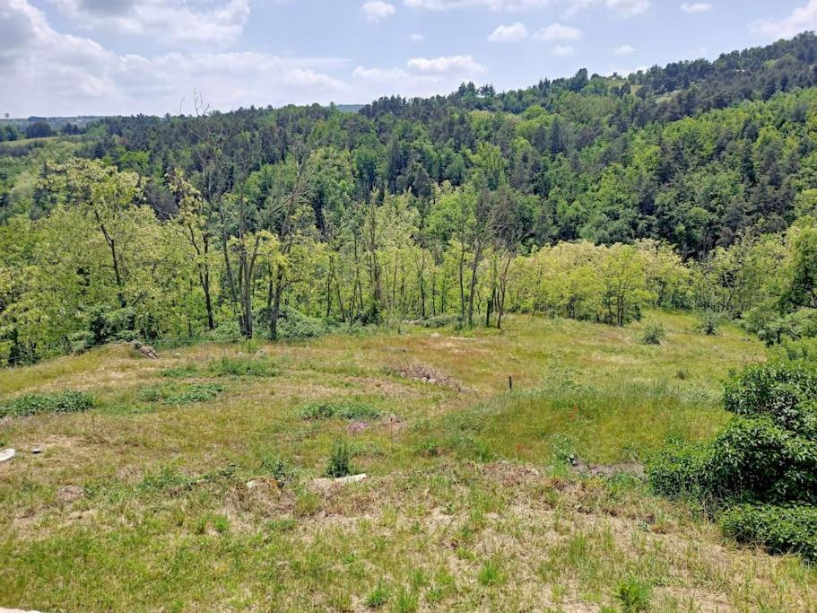 Ecrin De Verdure En Ardeche Verte Colombier-le-Vieux Esterno foto
